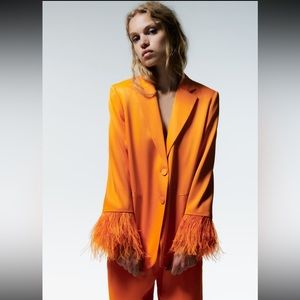 Zara feather sleeve blazer
